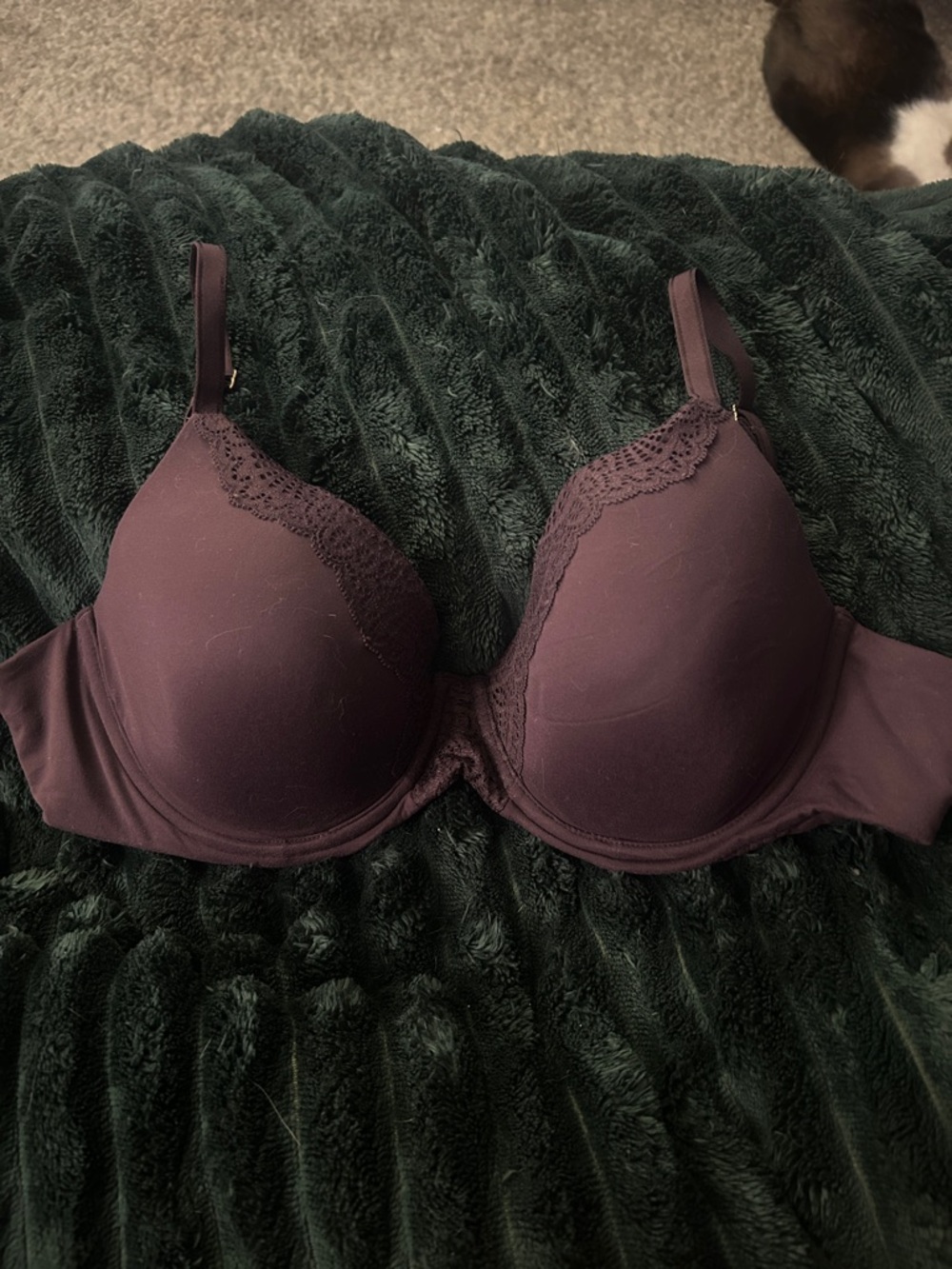 Soma Embraceable Crochet Perfect Coverage Plush Lace Trim TShirt Bra in Plum 36D